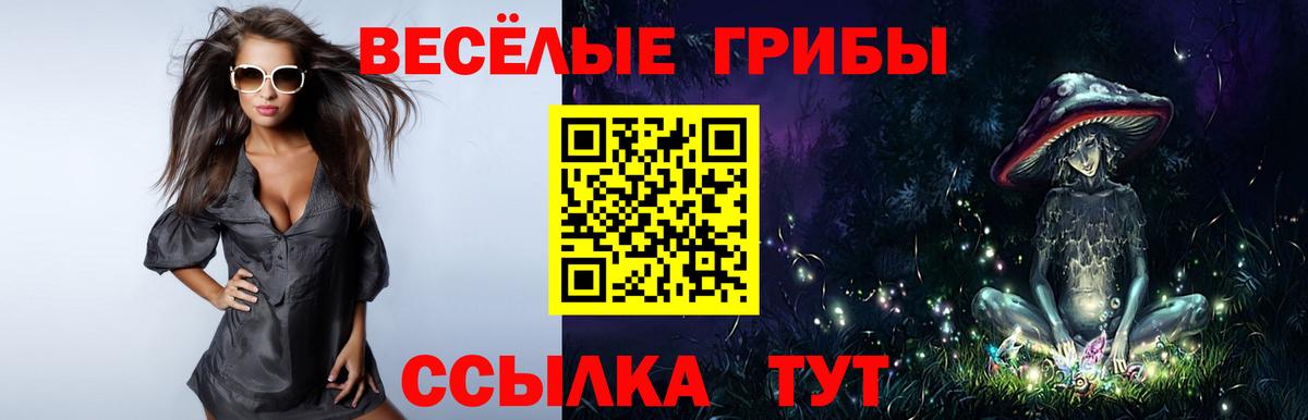 Галлюциногенные грибы мицелий Гатчина